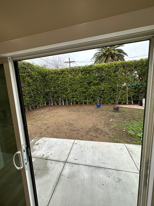 shared yard - 1231 S Orange Dr