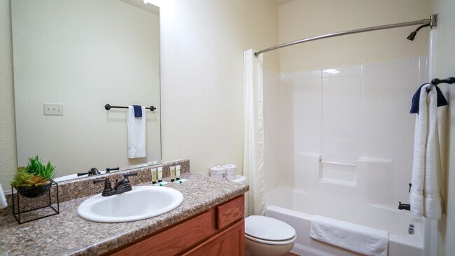 La Villita Apartments Carrizo Springs, TX