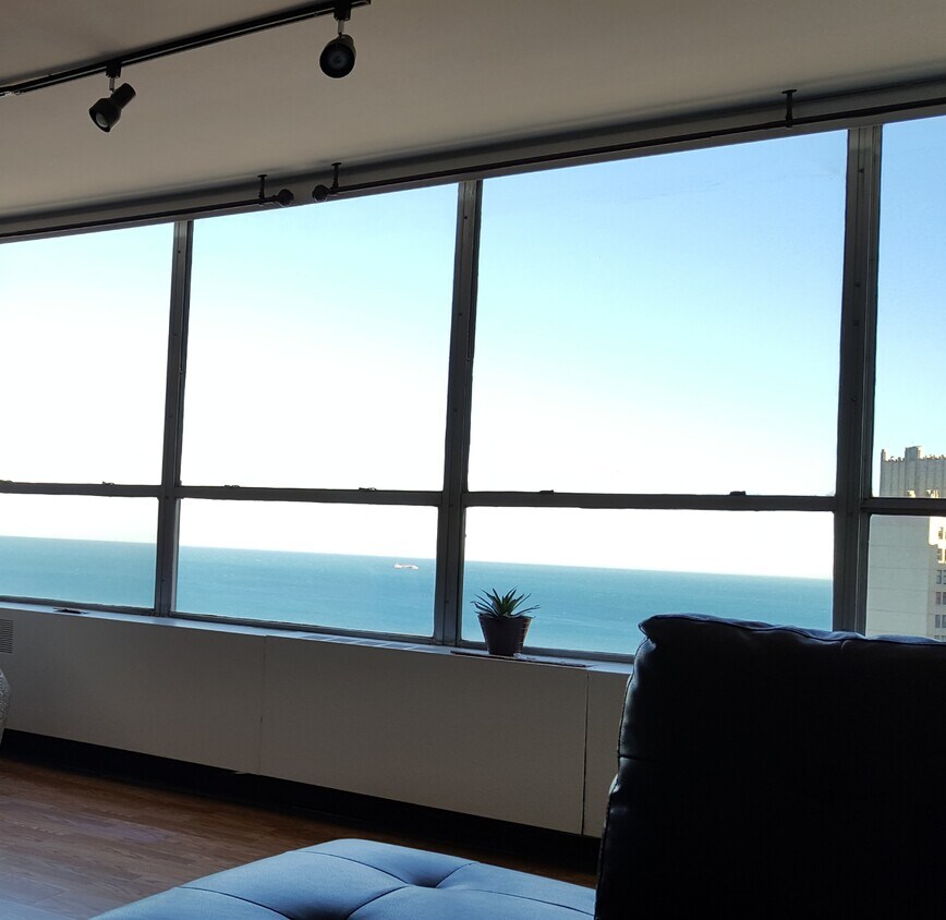View from the couch! - 4800 S Chicago Beach Dr