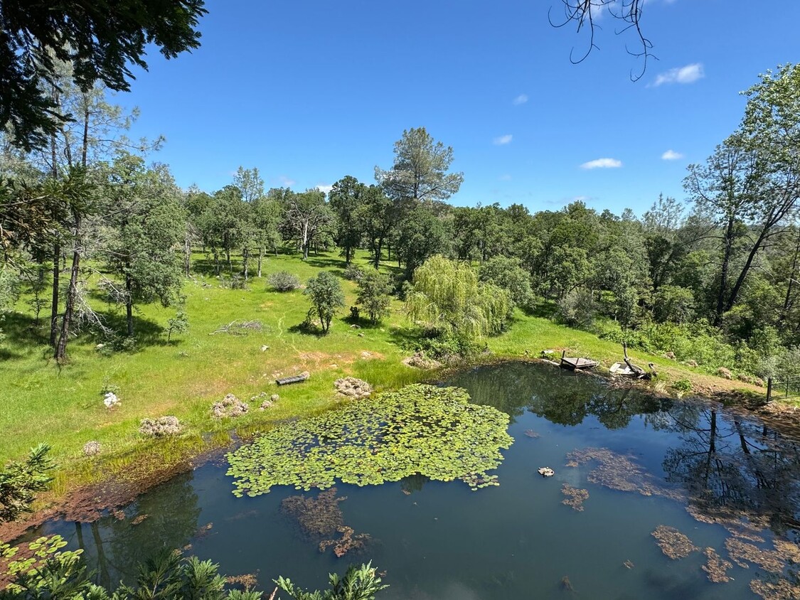 Foto principal - Scenic North Auburn Living – 1 bedroom 2-S...