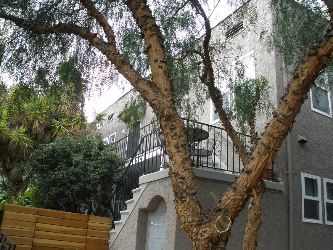 Primary Photo - 2033 N Vista del Mar Ave