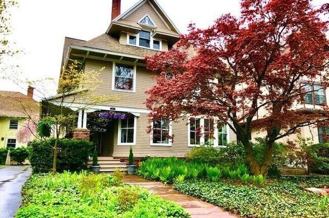 Building Photo - 517 Park Ave