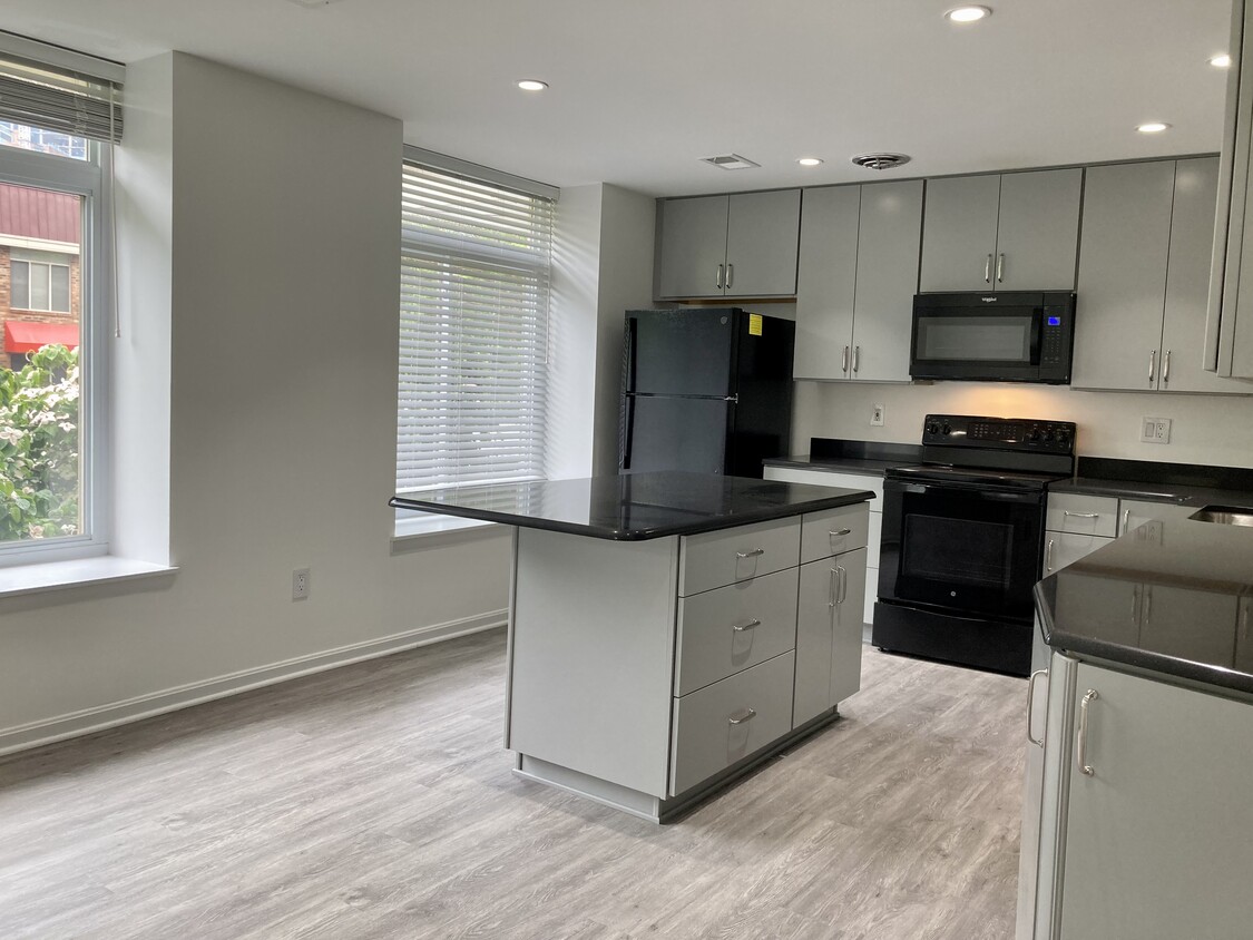 Brand new kitchen - 658 15th St S (Arlington, VA)
