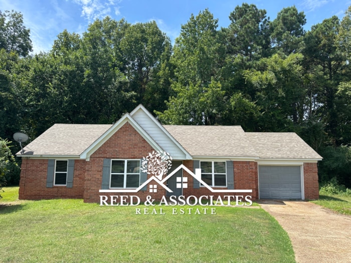 Olive Branch Home Located in Quiet Cove! - Olive Branch Home Located in Quiet Cove!