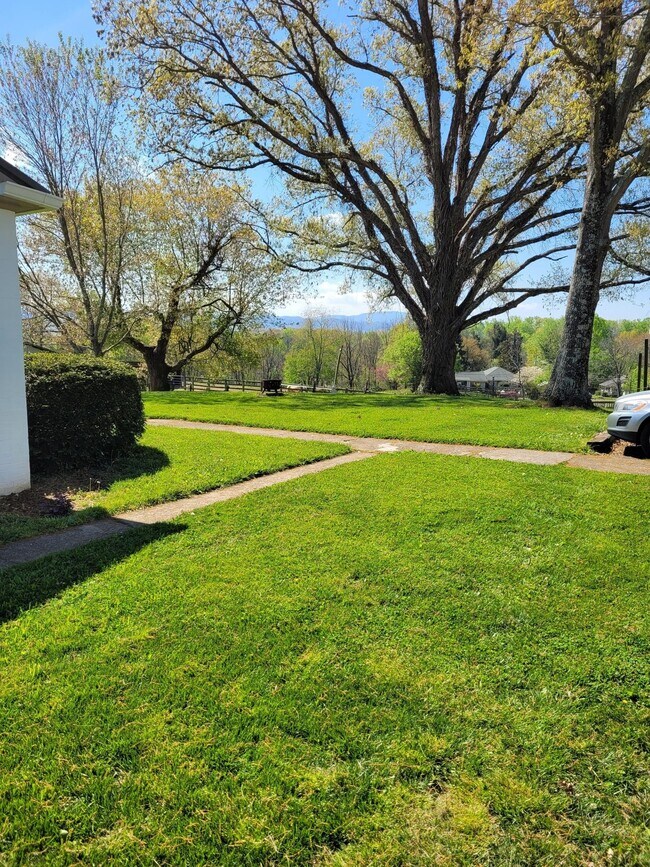 Front Yard - 146 Grandview Rd