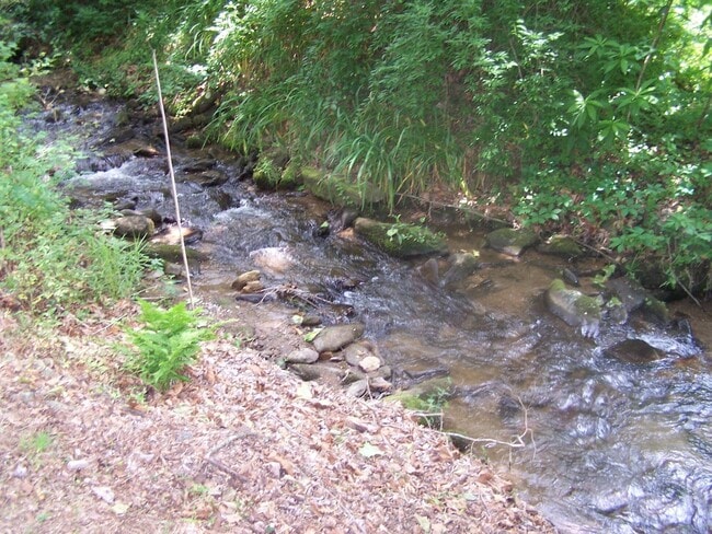 Building Photo - 1 Bedroom/1 Bath House with bonus office space on Fisher Creek in Sylva NC $1100 a month with a y...