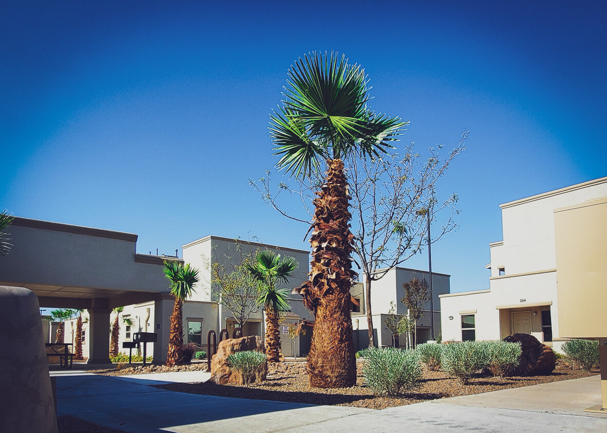 Primary Photo - Alameda Palms