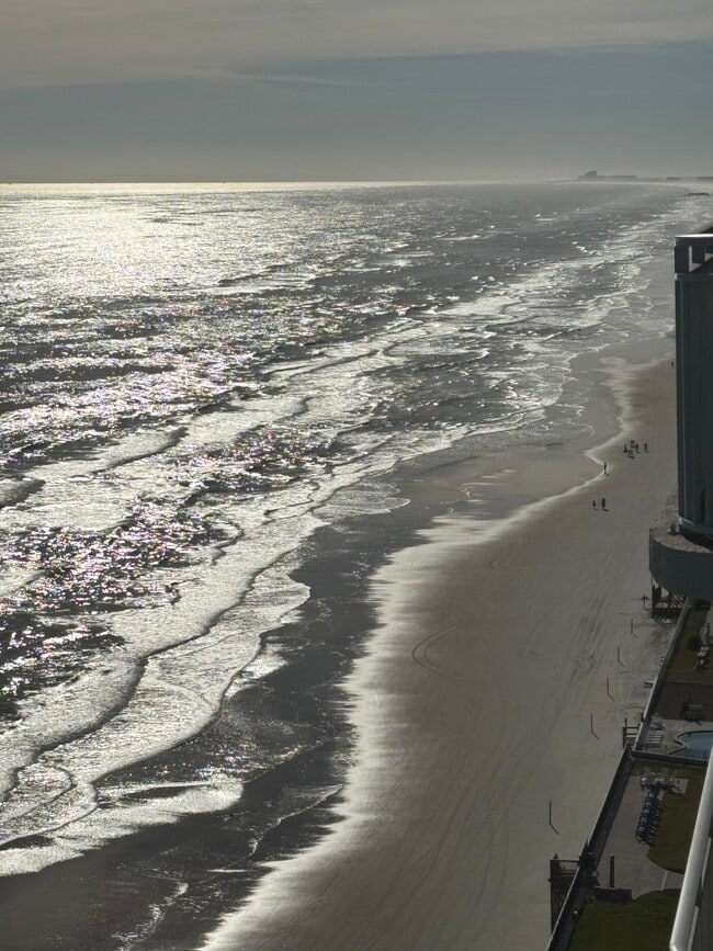 Building Photo - 1 month Min - VACATION RENTAL - SNOW BIRDS - Rental in Daytona Beach Shores