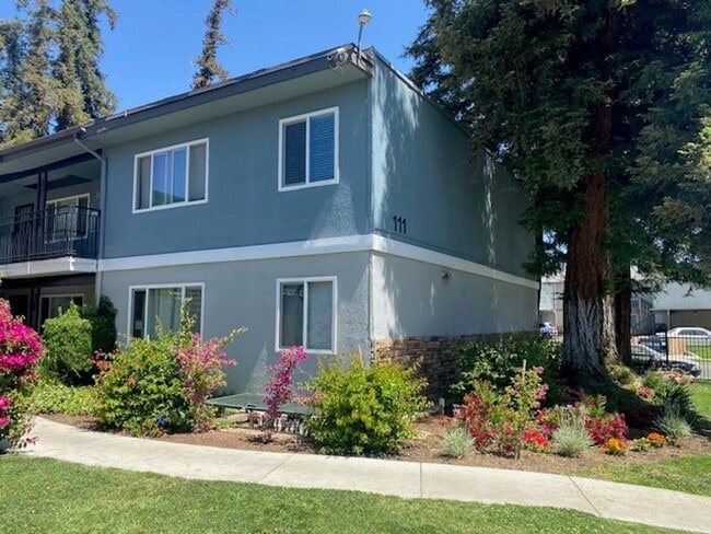 Building Photo - The Redwoods at Fresno