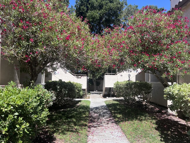 Foto del edificio - 977 Warburton Ave