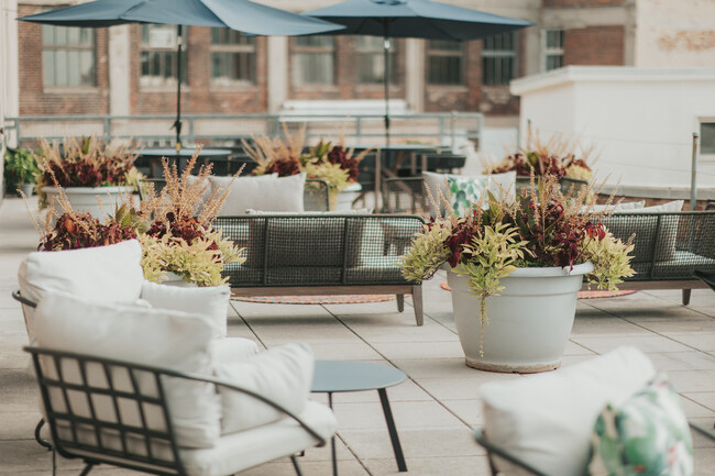 Patio en la azotea - The Cannery Loft Apartments