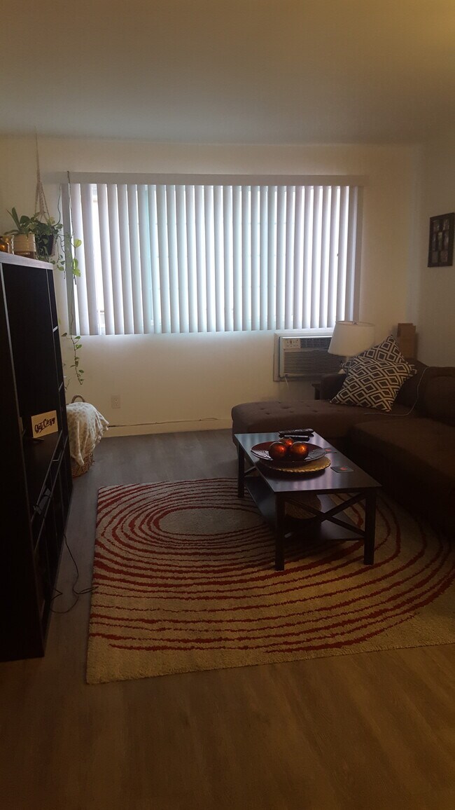 living Room - 817 S Manhattan Pl