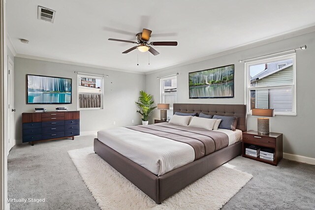 Foto del edificio - Walkable neighood hood/ Furry friends welc...