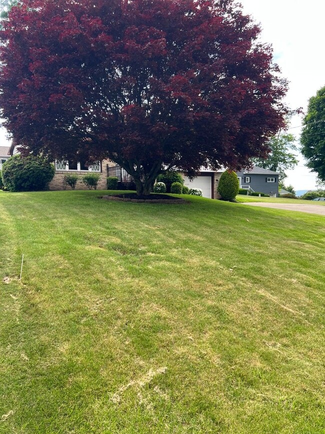 Building Photo - 3 Bed / 1 Bath Single-Family Home – Richland School District
