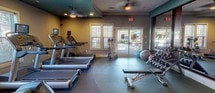 This fitness center is a thoughtfully designed, single-level space organized across several interconnected zones, offering a comprehensive workout environment. The interior is distinguished by its striking teal-painted tray and curved ceiling accents set against neutral gray walls, creating a modern and energetic atmosphere throughout.

The cardio zone features multiple treadmills, ellipticals, and a stair climber, positioned near windows and glass double doors that provide natural light and views of an adjacent outdoor area, likely a pool. Ceiling fans are distributed throughout to promote airflow and comfort during workouts.

The strength training area is well-appointed with a power rack, cable machines, a dumbbell rack with a full range of free weights, a weight bench, and a medicine ball and kettlebell storage tower. Large wall-mounted mirrors expand the visual space and allow users to monitor their form.

Durable rubber flooring with a subtle two-tone pattern covers the entire space, providing cushioning and safety. Recessed lighting and a wall-mounted television add functionality and convenience. The open layout, supported by structural columns, ensures clear sightlines across all workout areas, making the space feel expansive and easy to navigate.