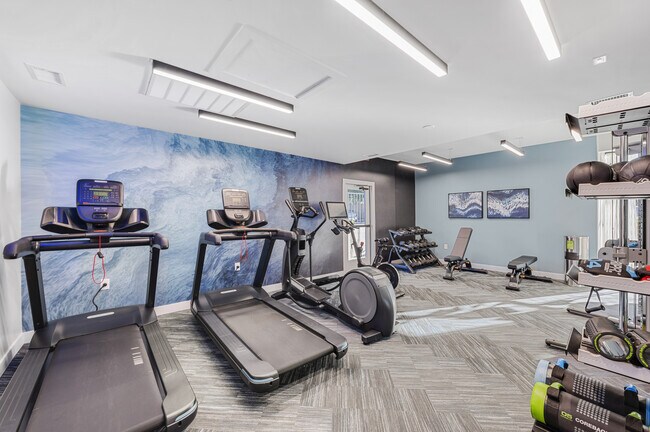 Cintas de correr - Rancho Hills