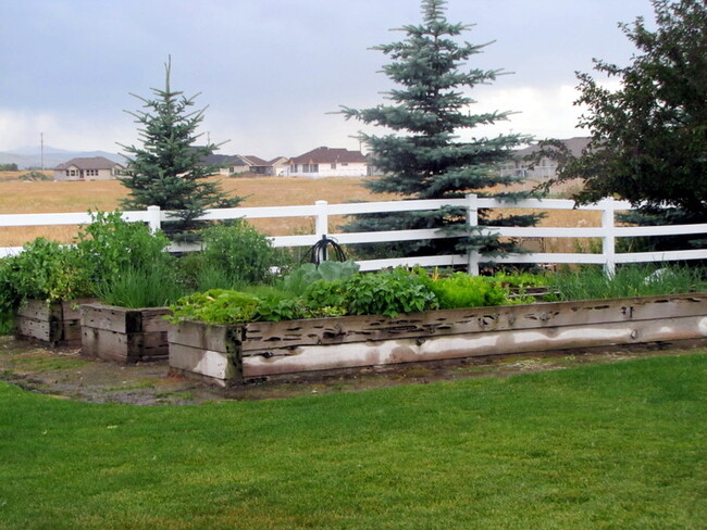 Building Photo - Elk Creek Senior Apartments 55+