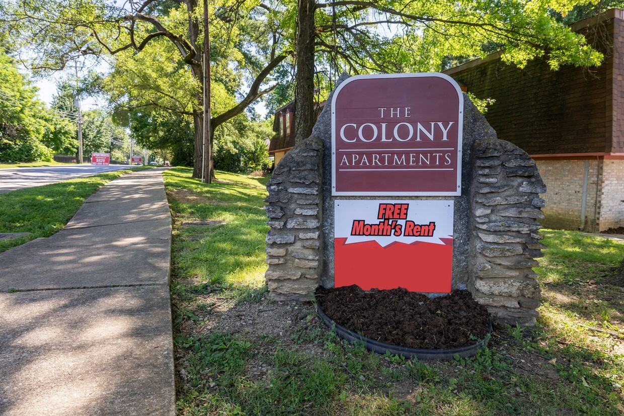 Primary Photo - Colony