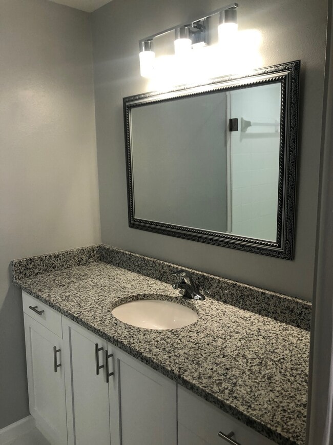New bathroom cabinets and granite counter tops - 801 W Montrose St