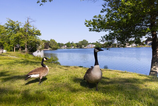 Foto del edificio - Lake View