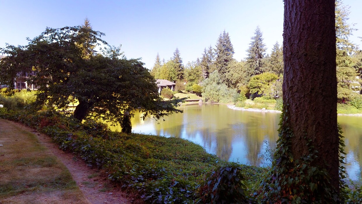 Primary Photo - Private Lakefront Oasis in Sixty-01 Village
