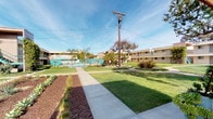 Located at 2904 Clairemont in San Diego, this outdoor common area — known as the Pergolas — is a thoughtfully designed communal space that serves as a central gathering hub within a multi-building residential community. The grounds are defined by a spacious, well-kept courtyard framed by two-story buildings with teal-accented balconies and staircases, lending the space a cohesive, mid-century-influenced aesthetic.

Concrete walkways cut through the grounds, flanked by a combination of lush green lawn, decorative mulched garden beds, ornamental grasses, and mature trees including palms, creating a layered and visually appealing landscape. The plantings are low-maintenance yet vibrant, contributing to the Southern California character of the space.

A standout feature is the wood-beam pergola structure, which provides a shaded outdoor lounge area outfitted with contemporary sectional seating and a coffee table — an ideal spot for relaxing or socializing. The warm-toned cedar ceiling of the pergola adds a natural, refined touch to the setting.

Beyond the pergola, a fenced pool area is visible at the far end of the courtyard, complete with poolside seating and umbrellas, further enhancing the resort-like quality of this outdoor space. Under San Diego's clear blue skies, the entire area feels open, inviting, and well-suited to year-round enjoyment.