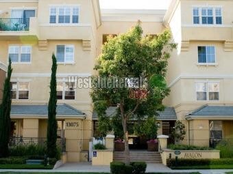 Primary Photo - 13075 Pacific Promenade