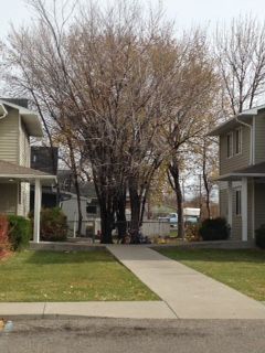 Primary Photo - 610 9th Ave S
