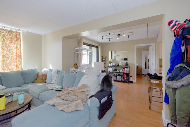 Foto del edificio - 85 Brainerd Rd