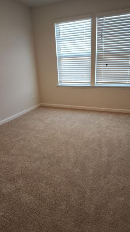Foto del edificio - 1667 Hallview Ct