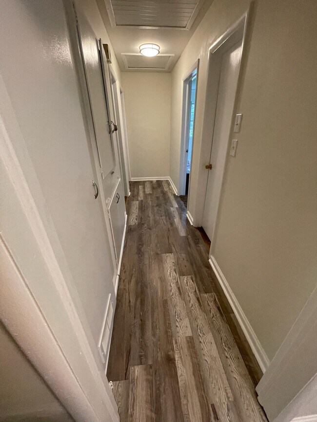 Hallway - 1831 Gillespie Dr