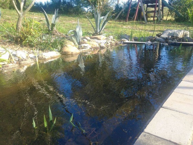 Foto del edificio - 1241 N Old Mill Dr