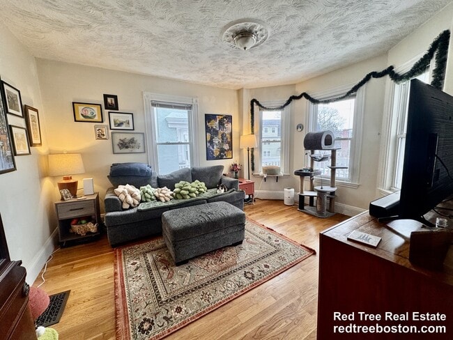 Photo - 30 Egleston St Apartment