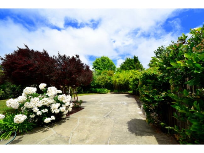 Building Photo - 128 Blackfield Dr