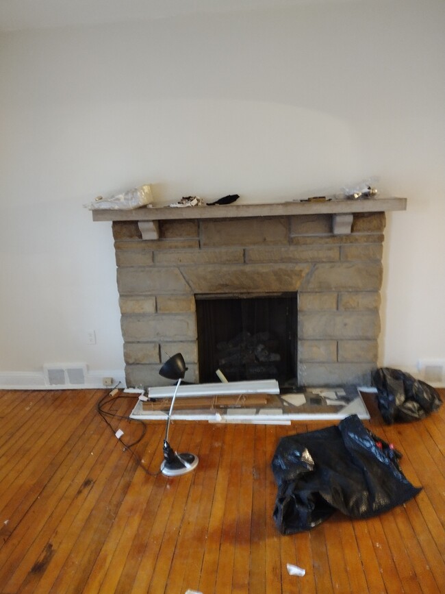 Decorative fireplace - 113 Ashton Ave