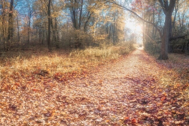 Hiking path in Ojibway Park