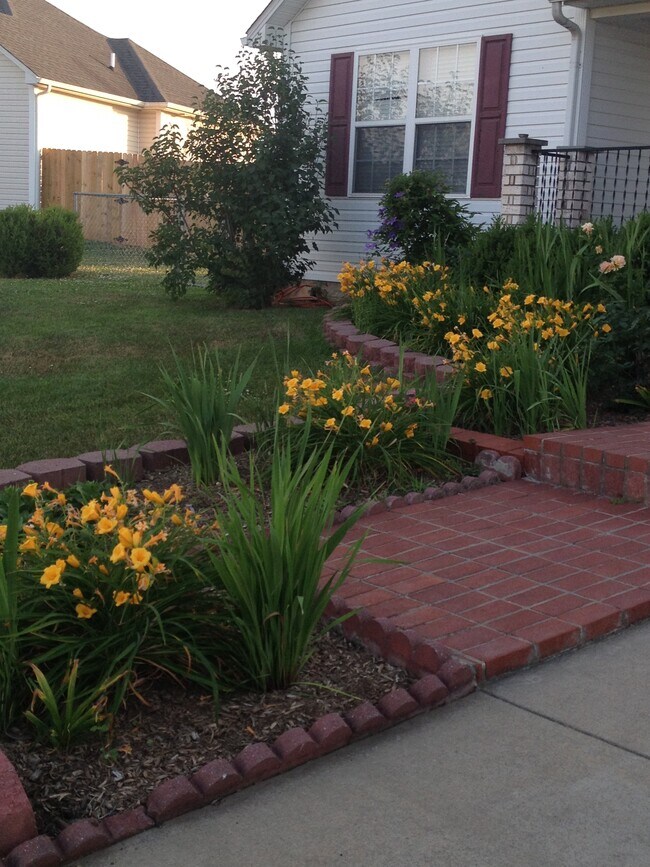 Foto del edificio - 320 Red Elm Ln