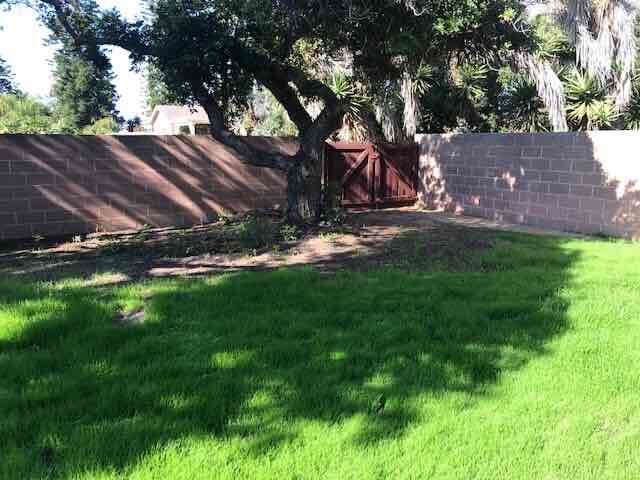 Building Photo - 3814 Palo Dr