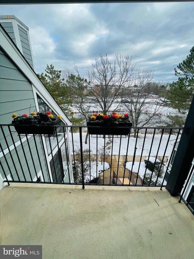 Foto del edificio - 6007 Ellesmere Ct