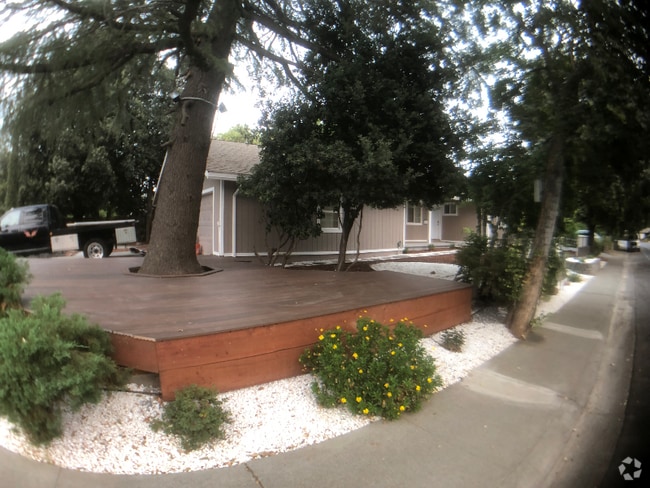 Building Photo - 906 Sycamore Ln