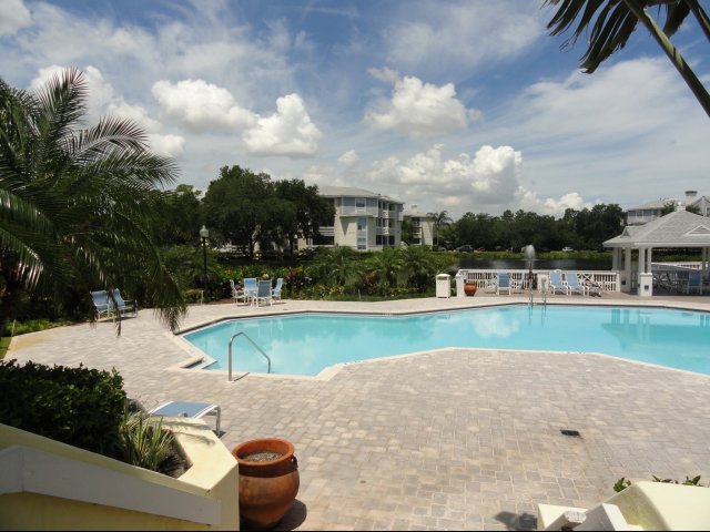 Bridgewater Luxury Apartments St Petersburg Fl Bridgewater Luxury Apartments St Petersburg Fl