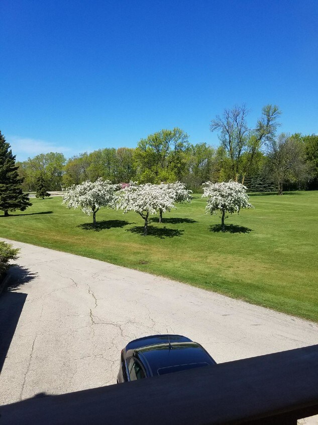 5075 Golf Course Rd, Sherwood, WI 54169 Condo for Rent in Sherwood