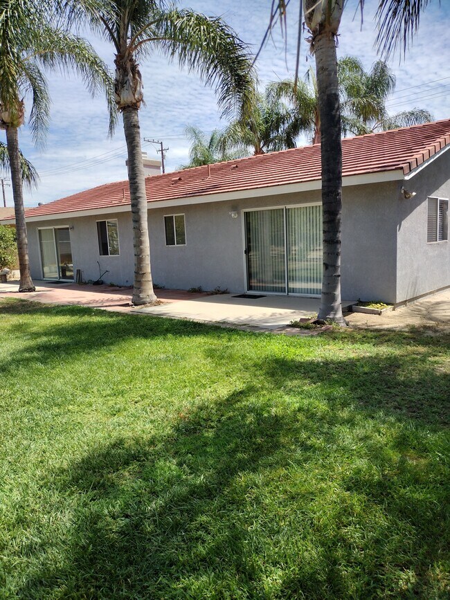 Back yard - 10554 Maple Ave