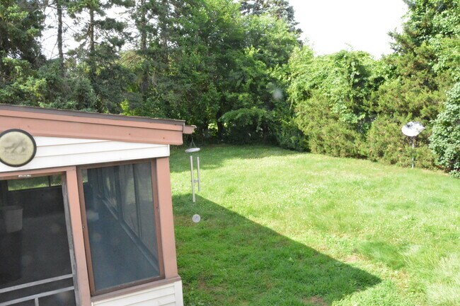 Backyard - 252 Forest St