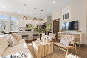 Building Photo - Modern Craftsman - Black Cat