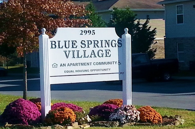 Foto del edificio - Blue Springs Village Apartments