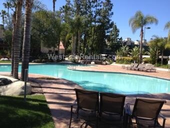 Primary Photo - 21550 Burbank Blvd
