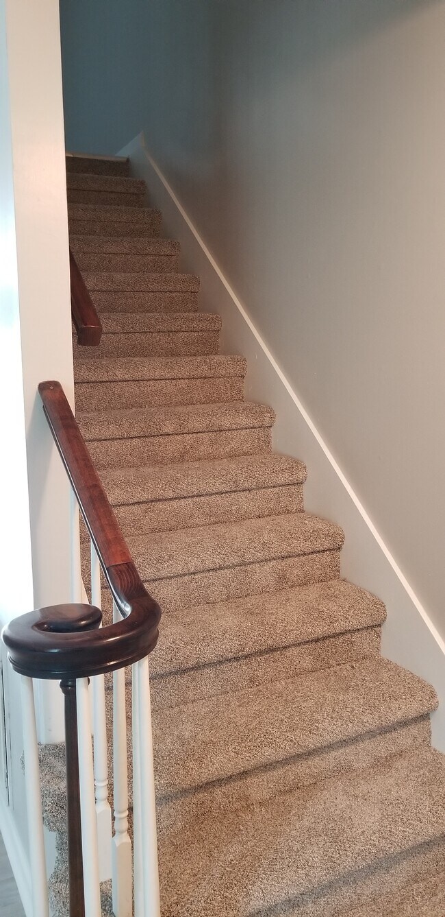 Escaleras con alfombra nueva - 1723 S Seminole Dr