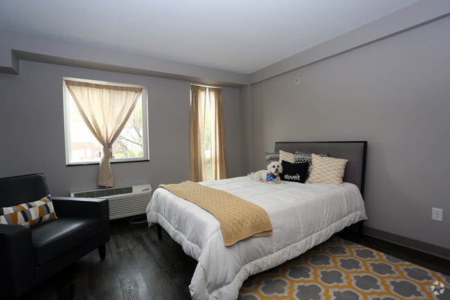 Living Area - The 501 Apartments
