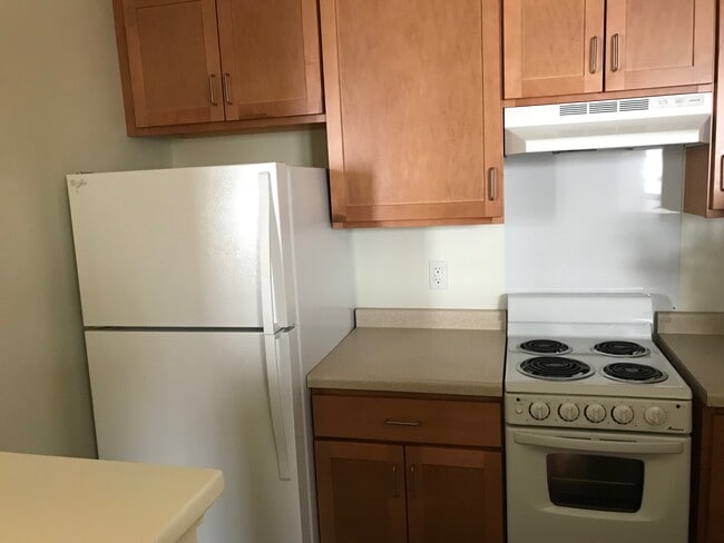 Building Photo - Ivy Manor Apartments